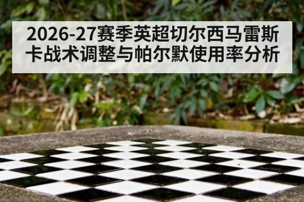 2026-27赛季英超切尔西马雷斯卡战术调整与帕尔默使用率分析